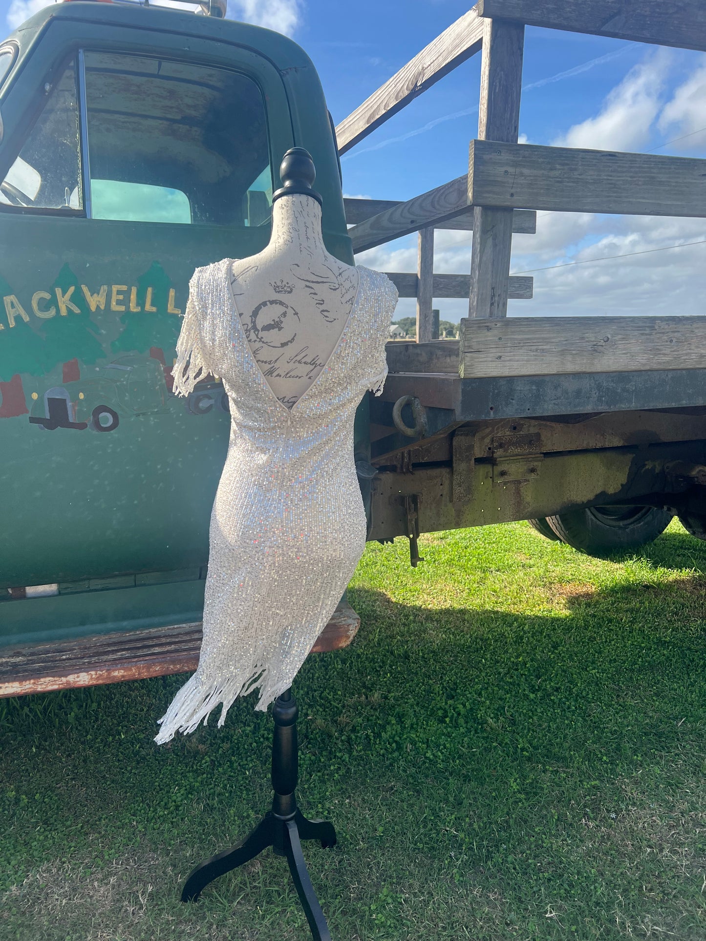Night on the town dress 2 colors