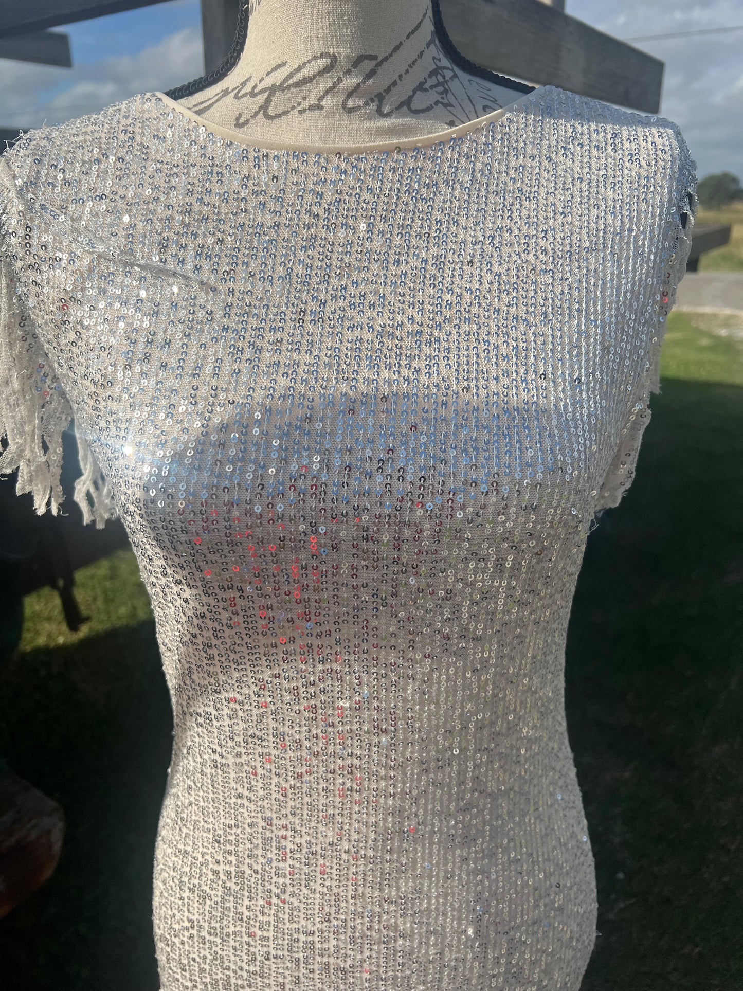 Night on the town dress 2 colors