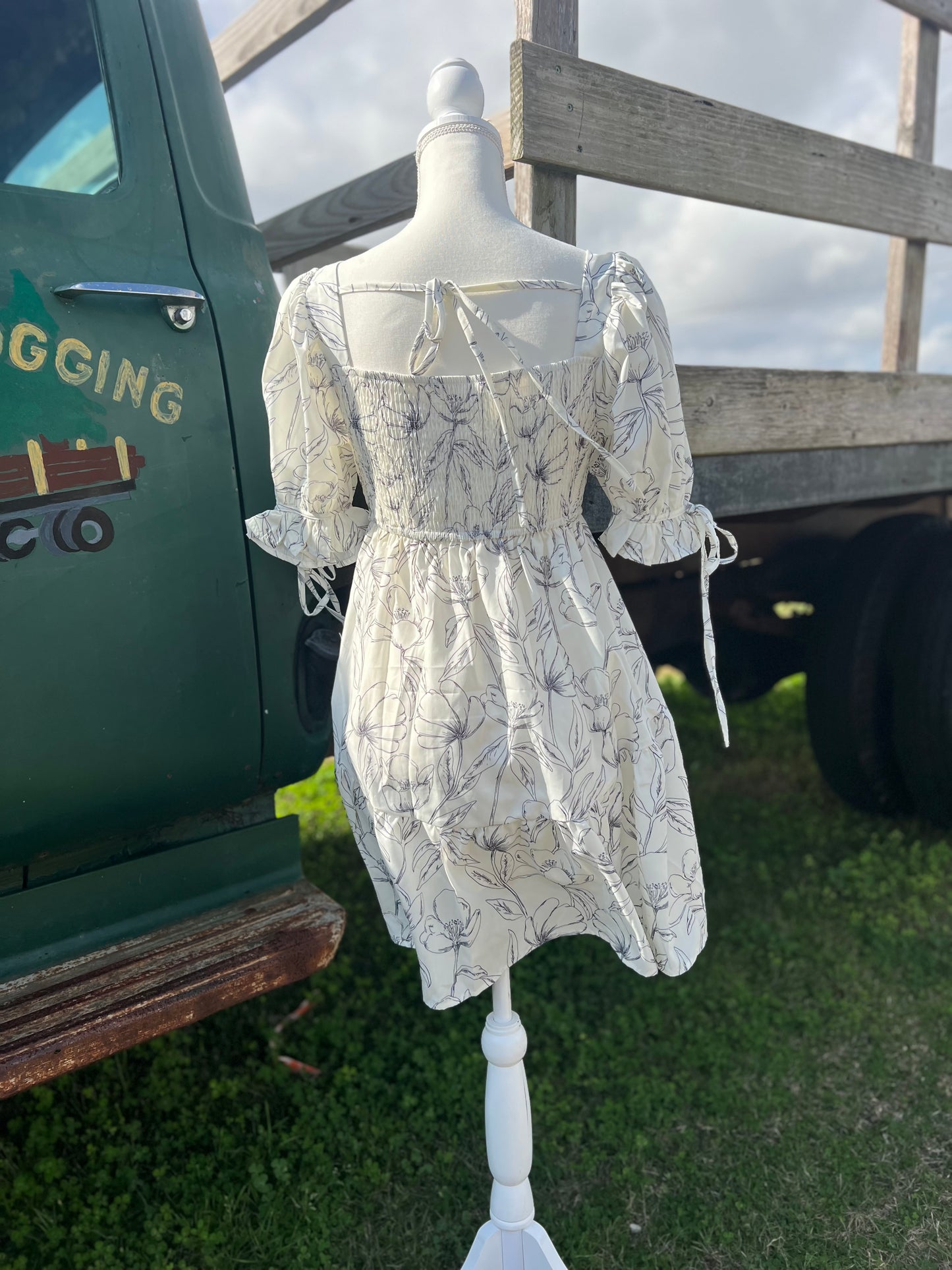 Beauty around us dress