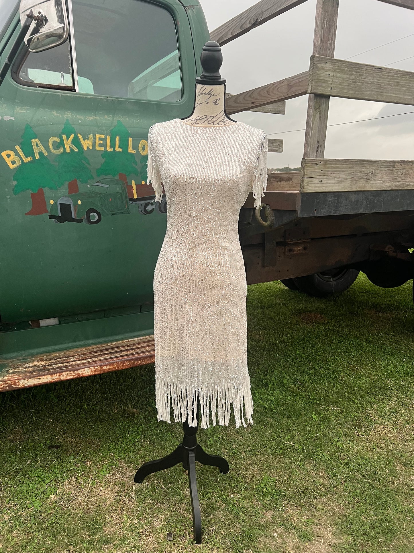 Night on the town dress 2 colors
