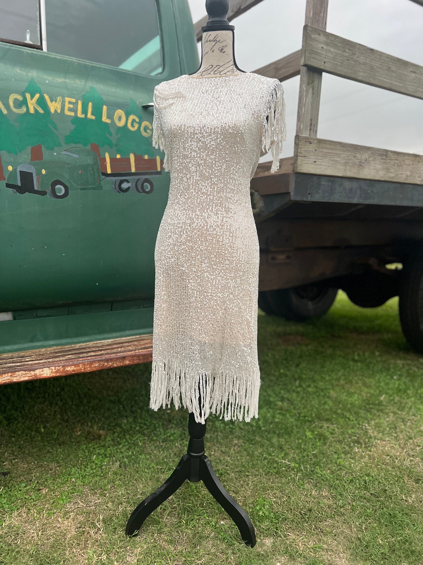 Night on the town dress 2 colors