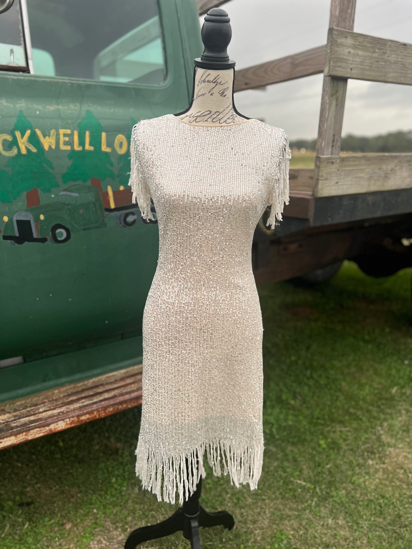Night on the town dress 2 colors