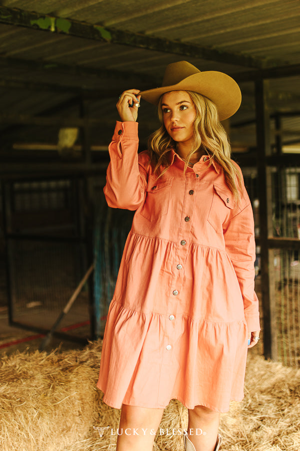 Don’t mind if I do peach denim dress