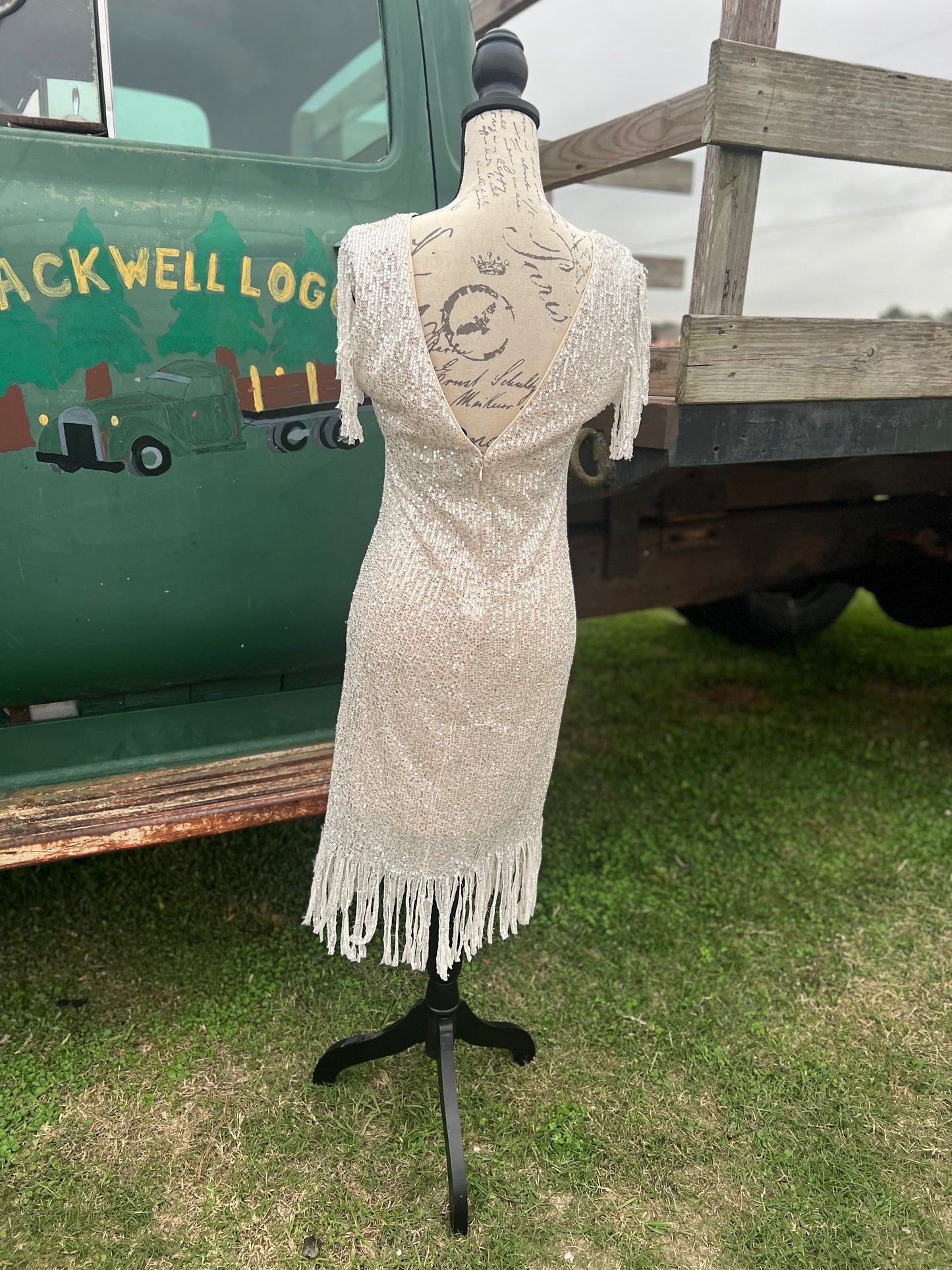Night on the town dress 2 colors