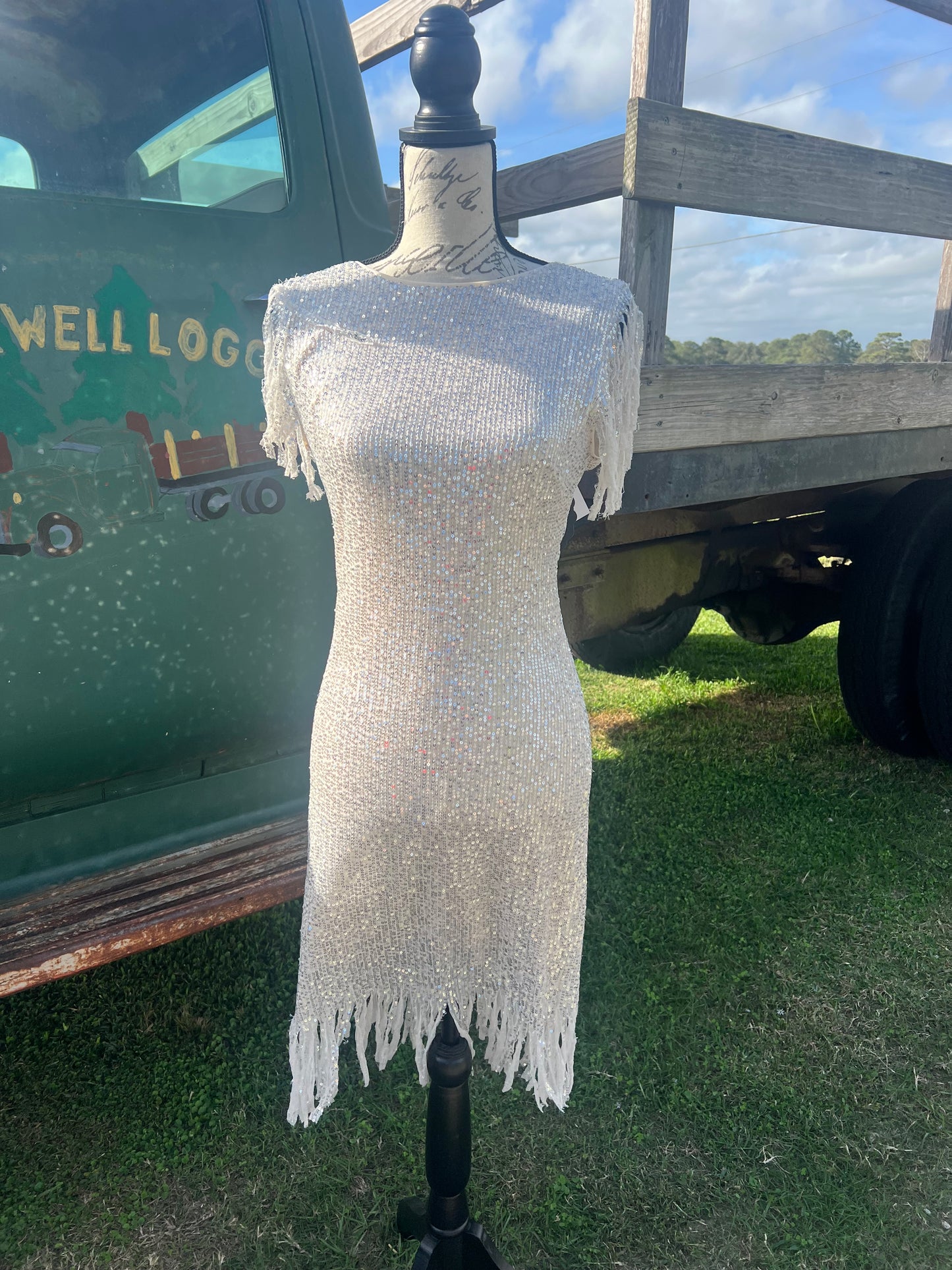 Night on the town dress 2 colors