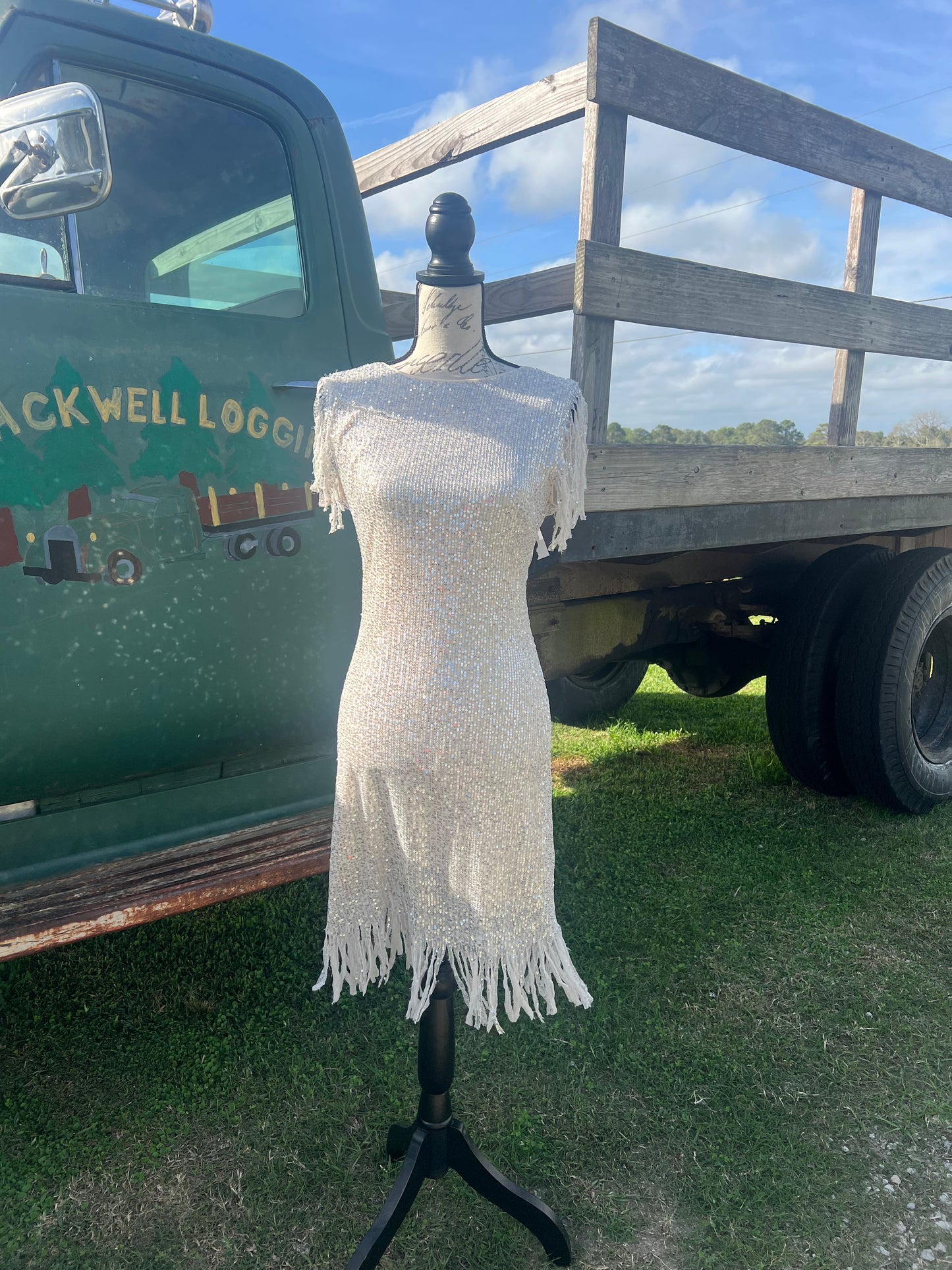 Night on the town dress 2 colors