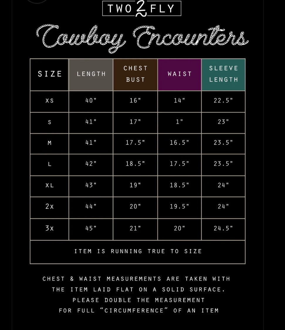 Cowboy encounter mesh dress